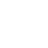 download button
